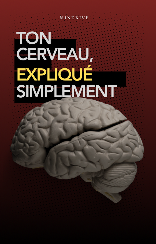 Ton cerveau, expliqué simplement